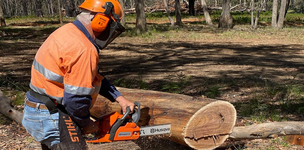 CHAINSAW & 4WD & SIDE by SIDE COURSES